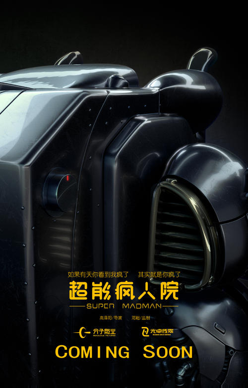 仿制假俄罗斯护照